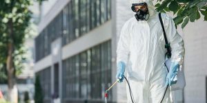 Azienda di disinfestazione Roma Sud